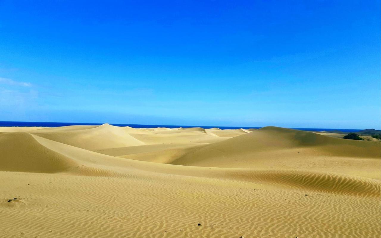 פלאייה דל אינגלז Los Molinos Apartment Ocean View מראה חיצוני תמונה